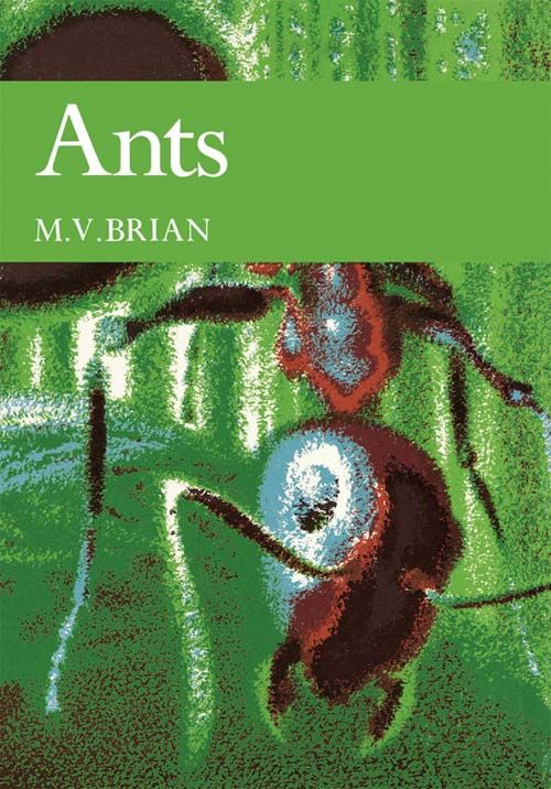 Collins New Naturalist Library - Ants (Collins New Naturalist Library, Book 59)
