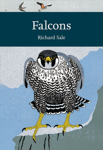 Collins New Naturalist Library - Falcons (Collins New Naturalist Library, Book 132)
